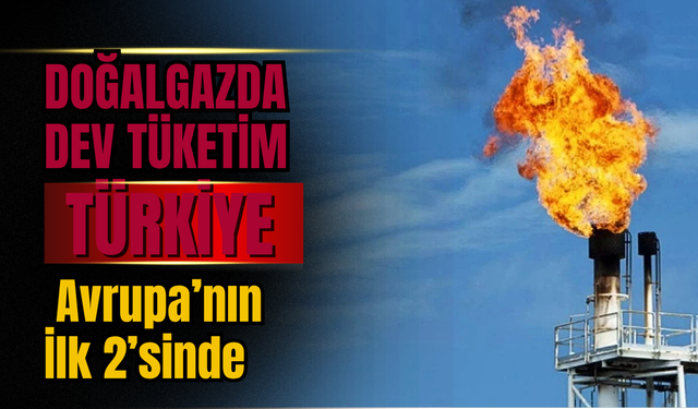 Avrupa’da Mayıs Ayında 24,2 Milyar m³ Doğalgaz Tüketildi: Türkiye’nin Payı %17’ye Ulaştı