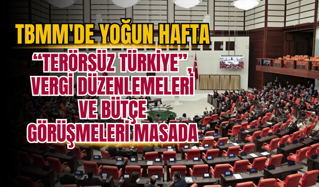 TBMM'DE YOĞUN HAFTA: “TERÖRSÜZ TÜRKİYE”, VERGİ DÜZENLEMELERİ VE BÜTÇE GÖRÜŞMELERİ MASADA