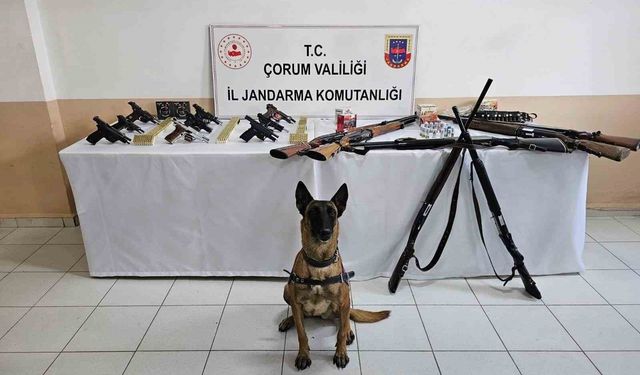 Jandarmadan ’düğün magandaları’na operasyon : 11 gözaltı