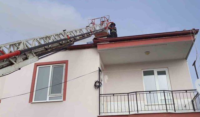 Bucak'ta bacada yangın paniği