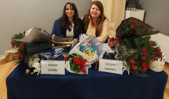 Duyguların ortak rengi: İki akademisyen yazardan şiirin 'Bam teli' üzerine