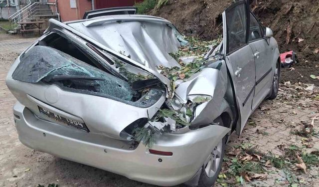 Giresun'da devrilen ağaç bir aracı kullanılamaz hale getirdi