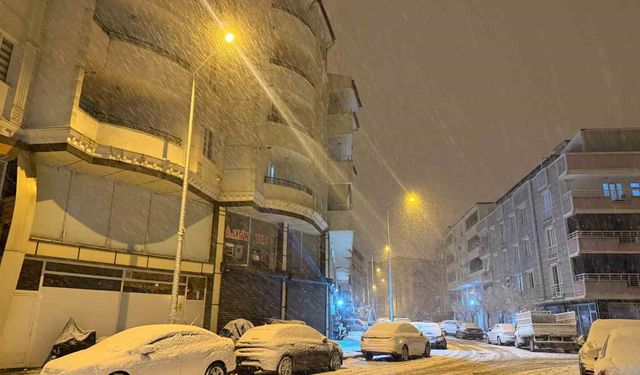 Iğdır'da kar yağışı şehir merkezini beyaza bürüdü