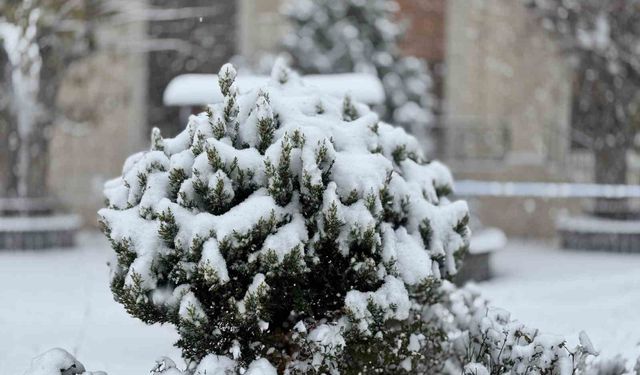 Mazıdağı'nda yoğun kar yağışı ve tipi etkili oluyor