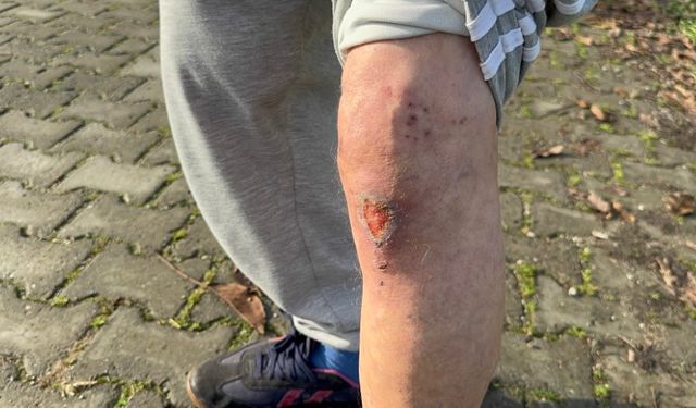 Altın çantasıyla evine girmek isteyen yaşlı adam gasbedildi