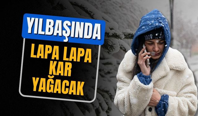 İl il açıklandı: Yılbaşında lapa lapa kar yağacak!