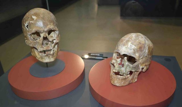 5 bin yıllık kafatası ve Amisos Hazineleri ilgi odağı oldu