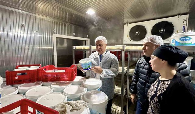 Antakya'da süt ürünleri üreten firma incelendi