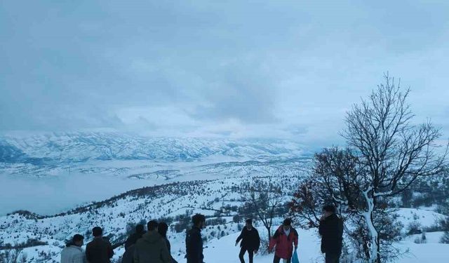 Arıcak'ta yaban hayvanları unutulmadı