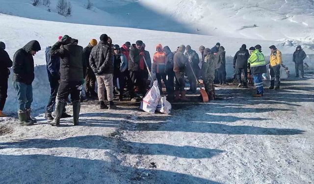 Artvin'de çığ faciasında kayıp çoban için arama çalışmaları üçüncü gününde yeniden başladı