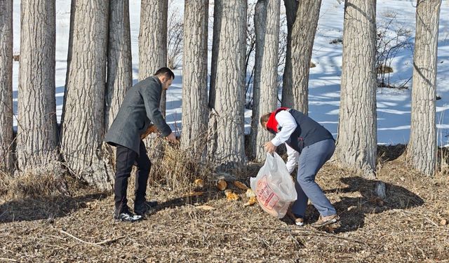 Aşkale'de yaban hayatı için doğaya yem bırakıldı