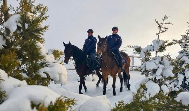 Atlı jandarmadan kış nöbeti: Zorlu hava şartlarında güvenlik devam ediyor