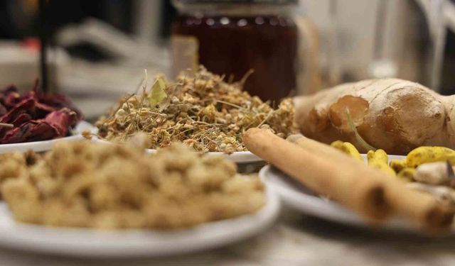Bağışıklık sistemini güçlendiren doğal şifa kaynağı: Kış çayı