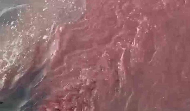 Bandırma'da deniz yüzeyi kırmızıya döndü