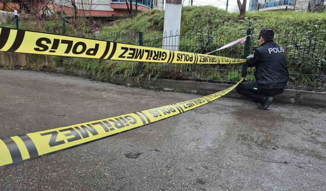 Bartın Irmağı taştı