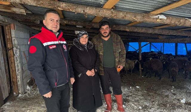 Bayburt'ta hayvancılığa yeni başlayan üreticilere destekler sürüyor