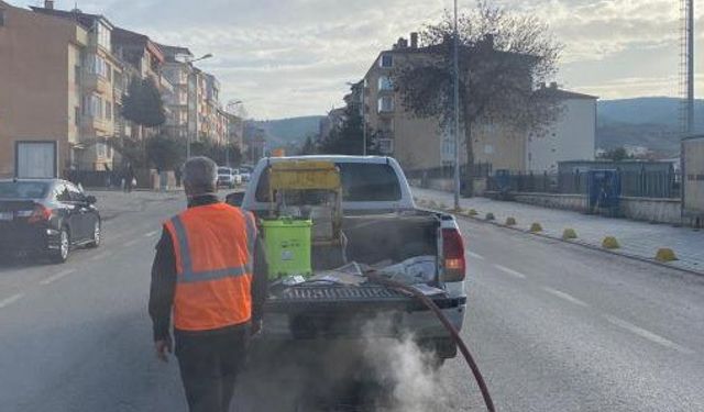 Bilecik'te haşerelere karşı kışlık mücadele