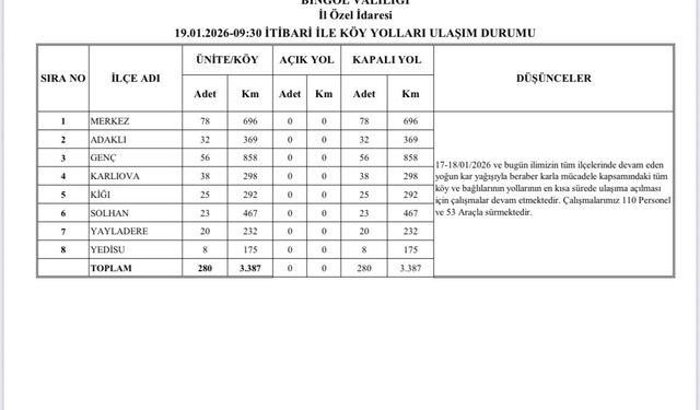 Bingöl kara teslim oldu: Tüm köylere ulaşım kesildi