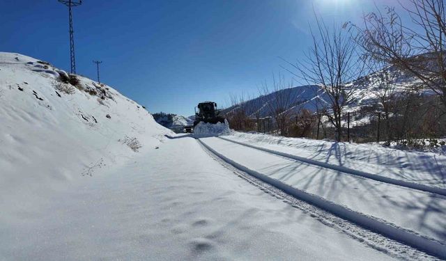 Bingöl'de karla mücadele çalışmaları sürüyor