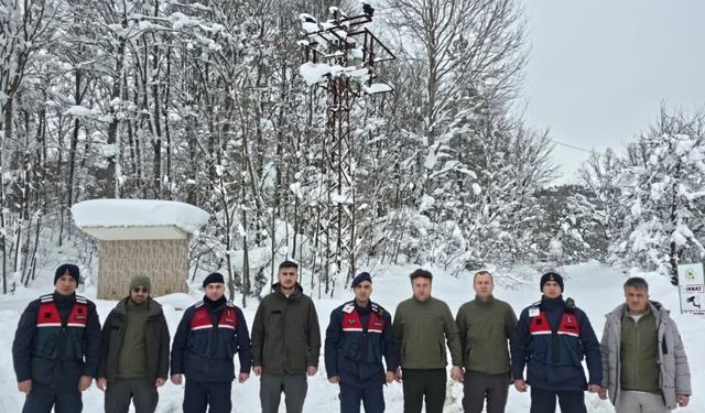 Bolu'da kaçak avcılığa geçit yok