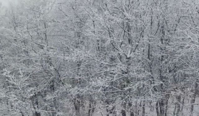 Çanakkale'de yüksek kesimler beyaza büründü