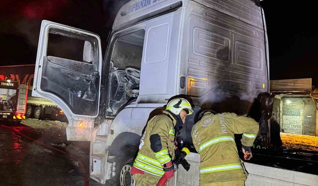 Cizre'de seyir halindeki Tır alevlere teslim oldu
