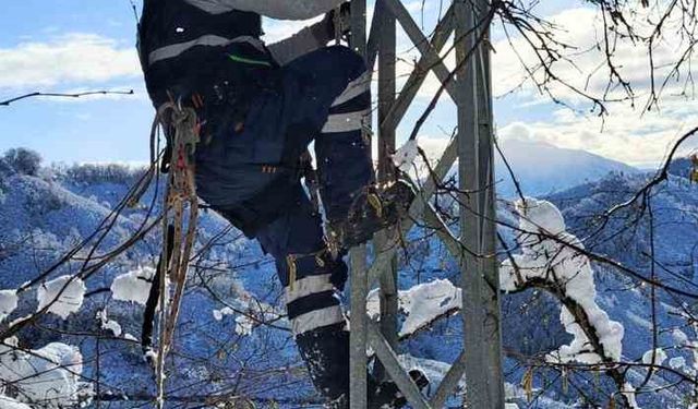Çoruh EDAŞ, Giresun'da kesintisiz enerji için yoğun kar yağışında sahada