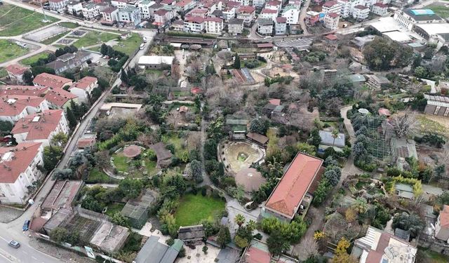 Darıca Hayvanat Bahçesi kapandı, hayvanlar farklı illere nakledildi