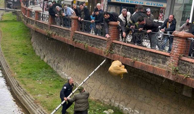 Dere yatağında mahsur kalan köpek itfaiye ve vatandaşın yardımıyla kurtarıldı