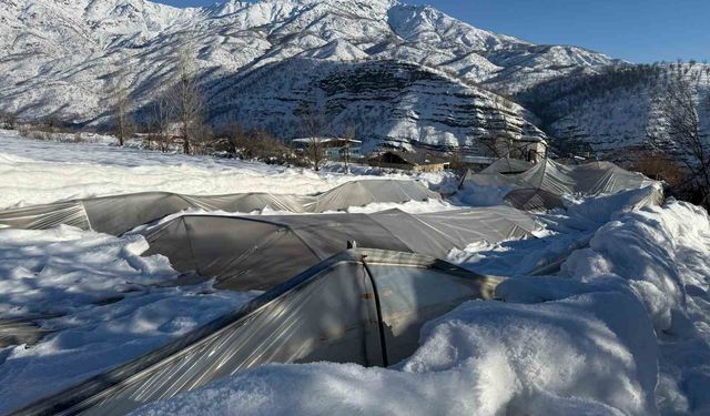 Derecik'te kardan dolayı 38 sera zara gördü