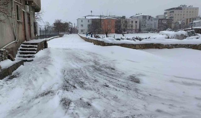Dicle'de yoğun kar hayatı olumsuz etkiledi