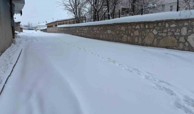Diyadin'de yoğun kar yağışı hayatı olumsuz etkiliyor