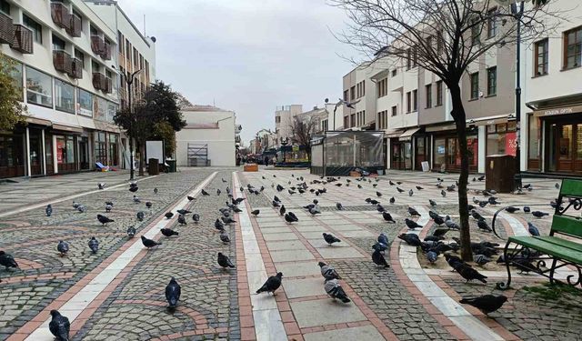 Edirne'de kar gitti, ayaz geldi: Pandemi günlerini aratmayan sessizlik