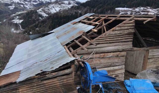Giresun'da fırtınada bazı seralar ve yayla evleri hasar gördü