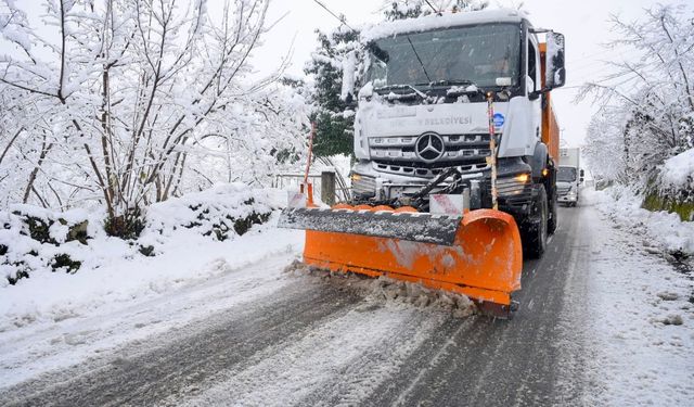 Giresun'da kar yağışı etkisini gösterdi