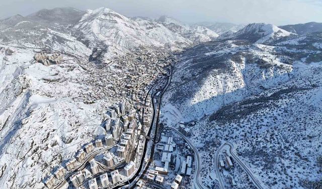 Gümüşhane'de kar görsel şölene dönüştü
