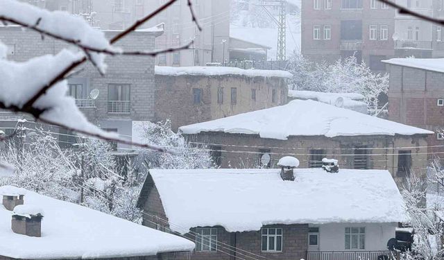 Hakkari'de 160 yerleşim yolu ulaşıma kapandı