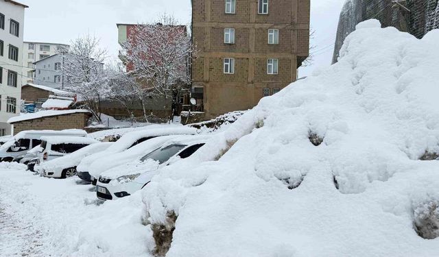 Hakkari'de 223 yerleşim yerinin yolu ulaşıma kapandı