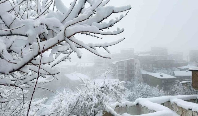Hakkari'de kar afeti: Ekipler aralıksız çalışıyor