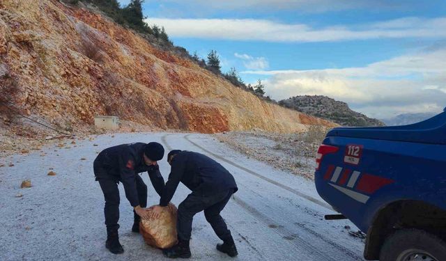 Harmankaya Tabiat Kanyonu'nun yolunu düşen kaya parçası jandarma tarafından kaldırıldı