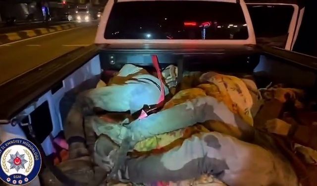 Hatay'da 8 kaçak göçmen yakalandı, 2 organizatör tutuklandı