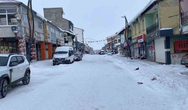 Kar ve buzla kaplı Karlıova sessizliğe büründü