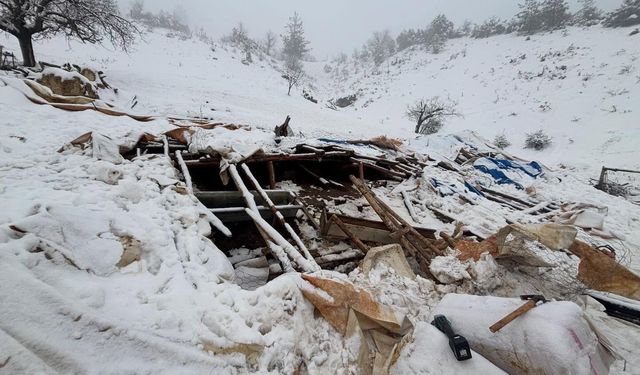 Karaman'da karın ağırlığına dayanamayan ahırın çatısı çöktü