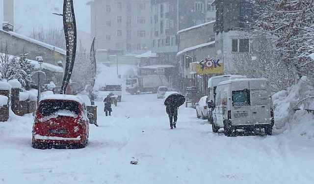 Karlıova'da kar yağışı başladı