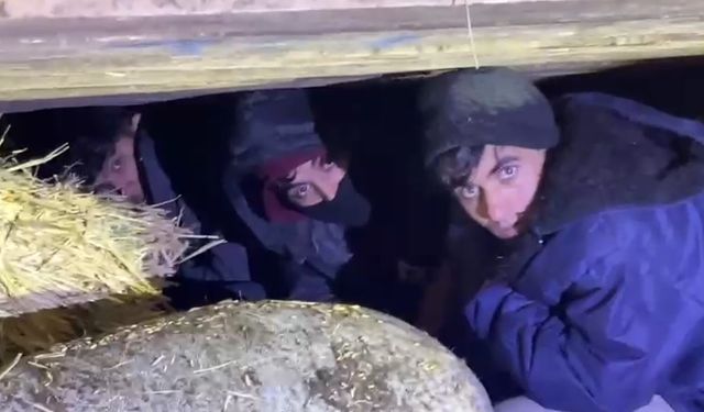 Kars'ta saman balyaları arasından kaçak göçmen çıktı: 1 tutuklama