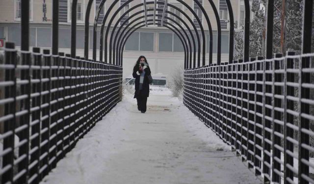 Kars'ta soğuktan ağaçlar kırağı tuttu