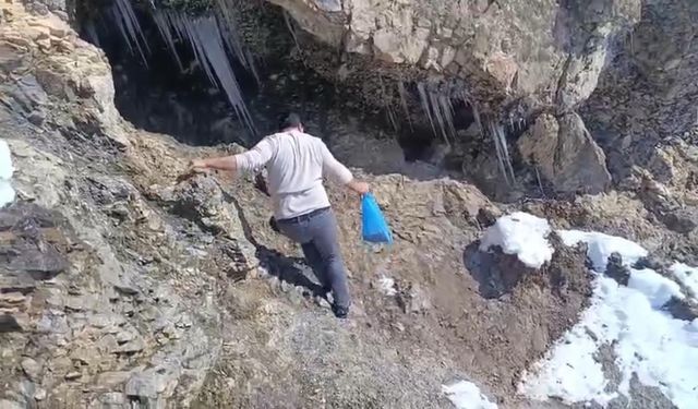 Keklikler için doğaya yem bıraktılar