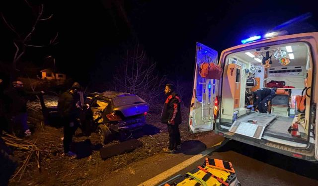 Kontrolden çıkan otomobil tarlaya girdi, sürücü yaralandı