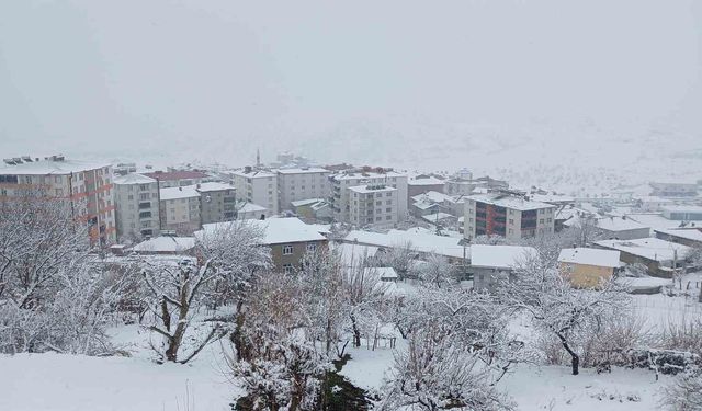 Kulp'ta kar esareti: Köy yolları kapandı, ilçe trafiği kilitlendi