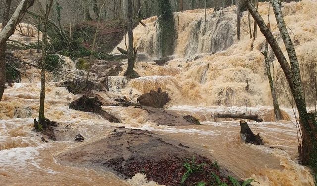 Kuruyan Karapınar Şelalesi yağışlarla yeniden hayat buldu